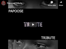 tribute papoose